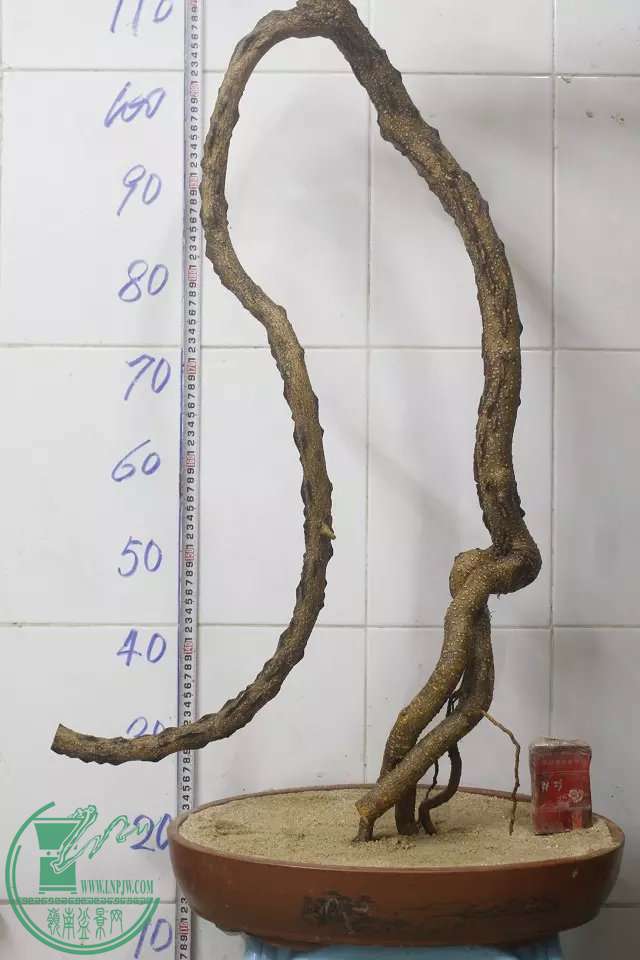 psb (3).jpg