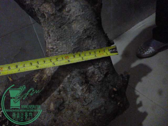 P1160014.JPG