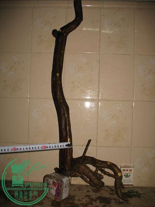 070.JPG