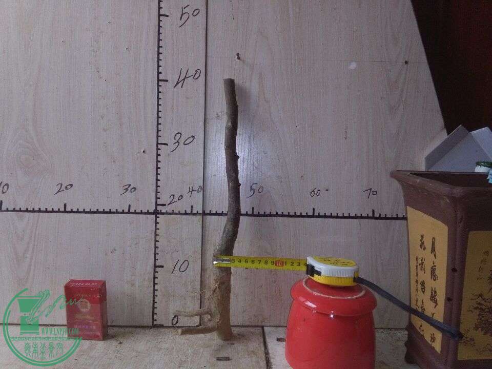 440Ԫ