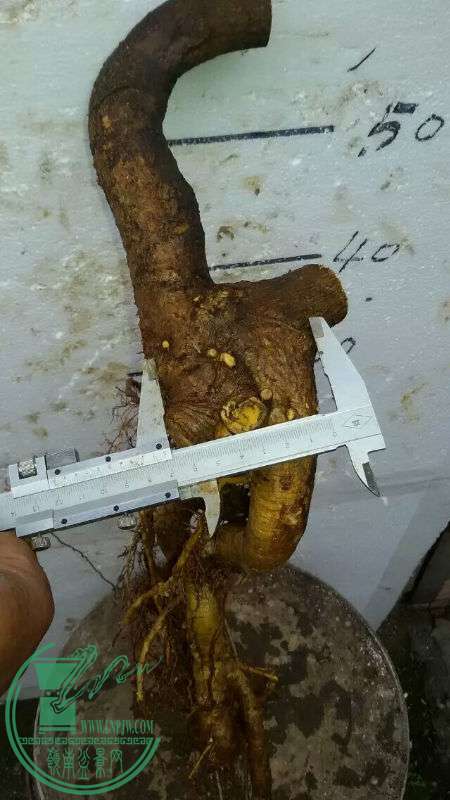 729255