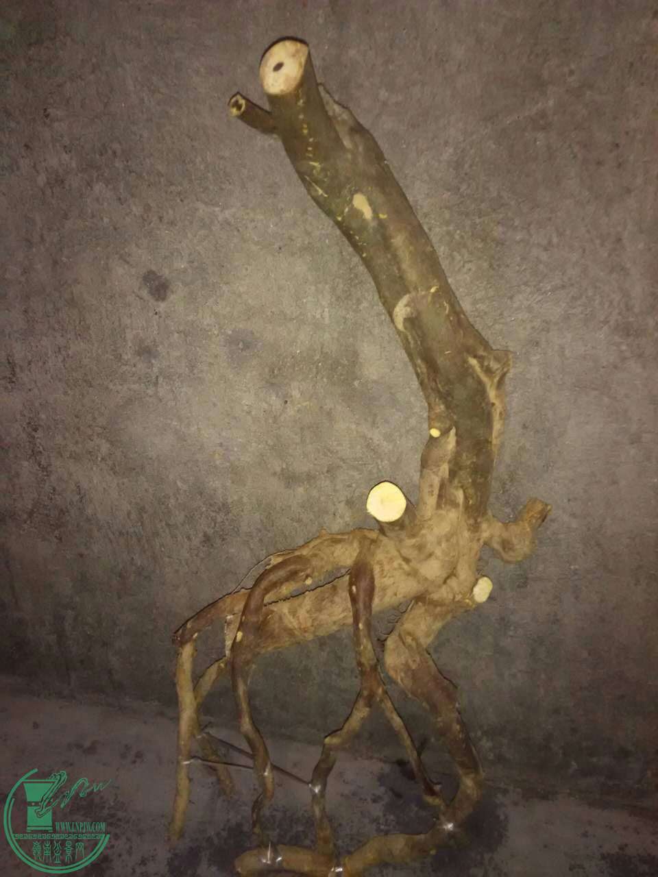 7.jpg