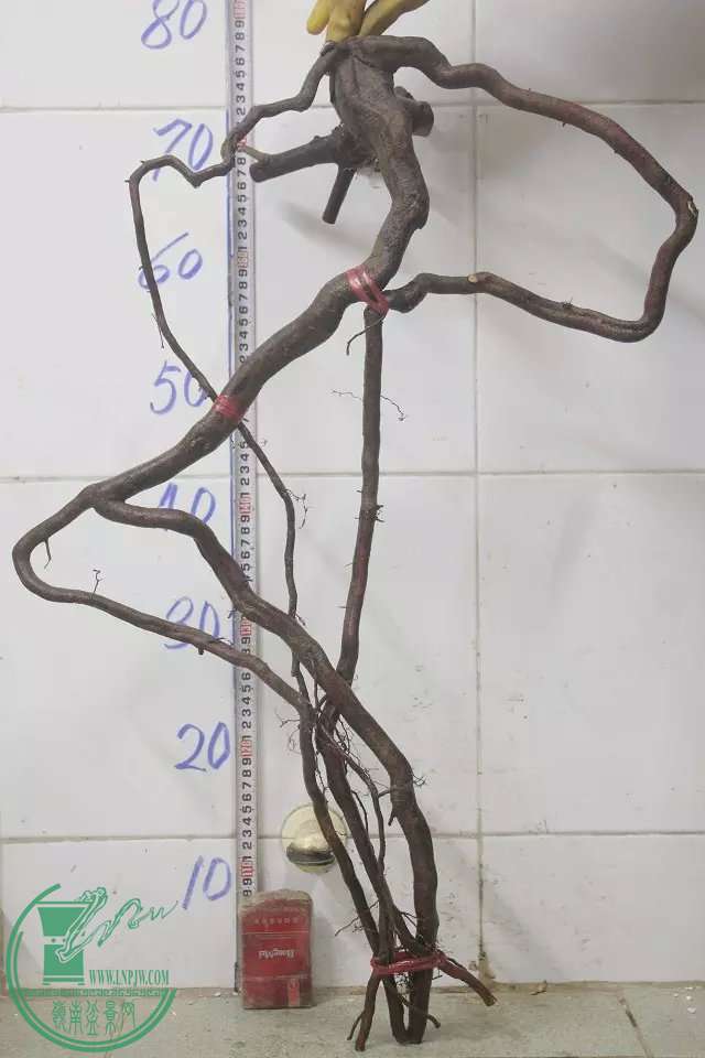 psb (11).jpg
