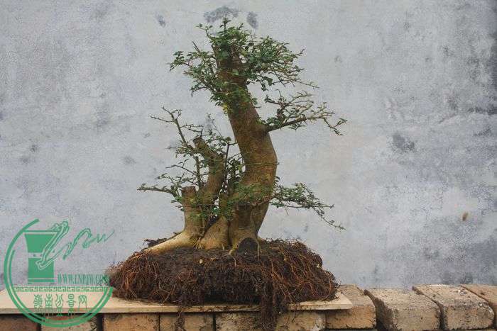 Ƭ20131026ۺ 591.jpg
