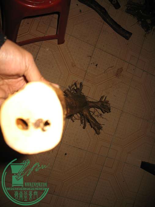 015.JPG