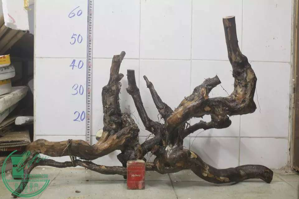 psb (1).jpg
