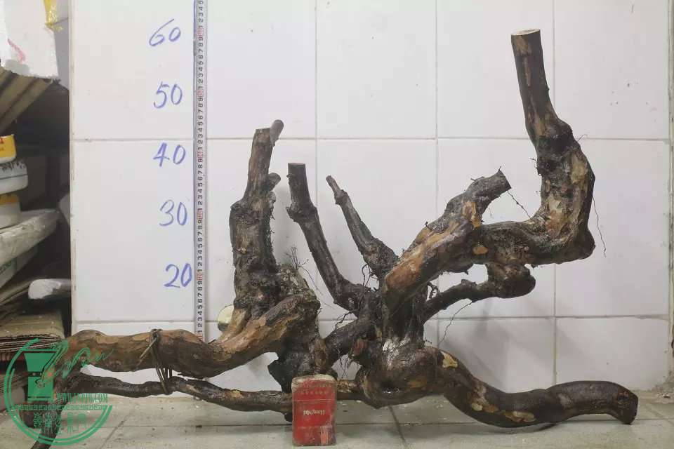 psb (2).jpg