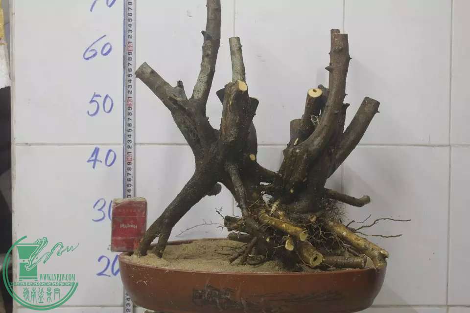 psb (13).jpg