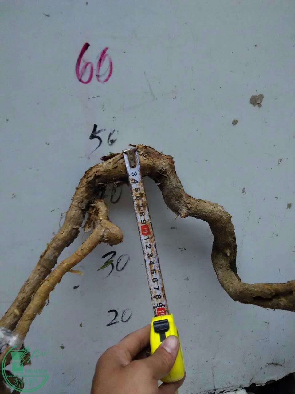 2-2.jpg
