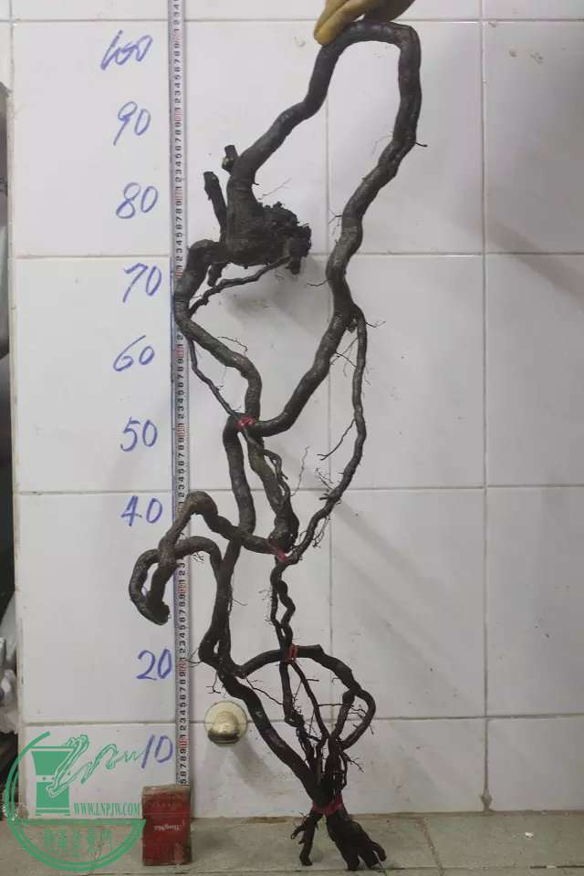psb (3).jpg