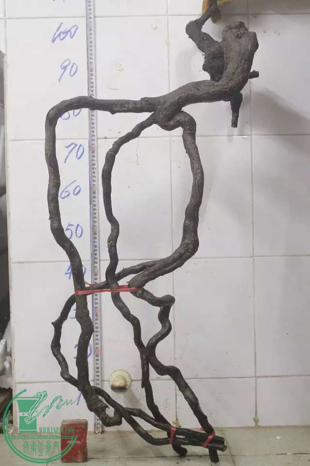 psb (7).jpg