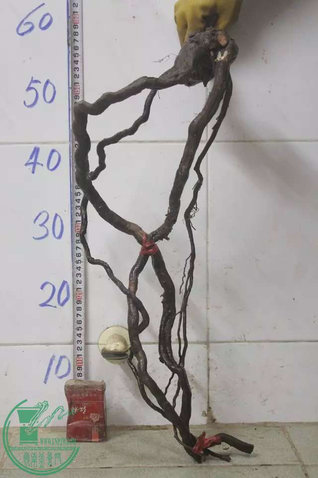 psb (9).jpg