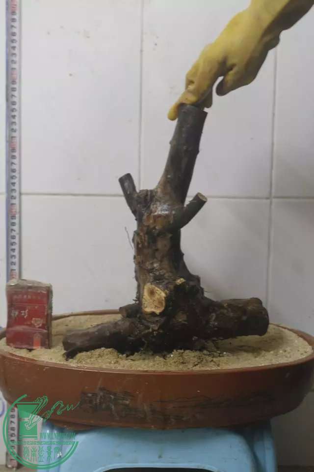 psb (13).jpg