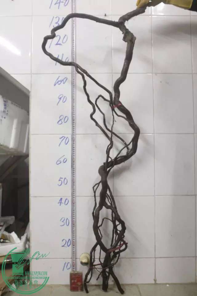 psb (4).jpg