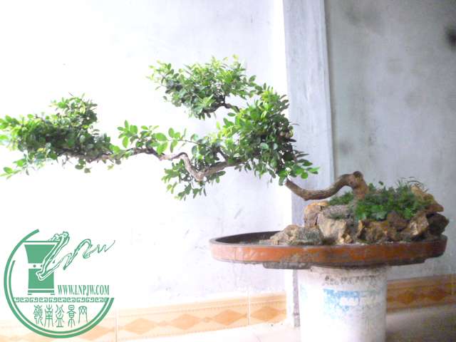 P1160028.JPG