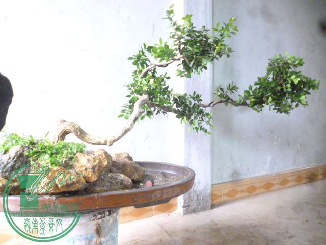 P1160038.JPG