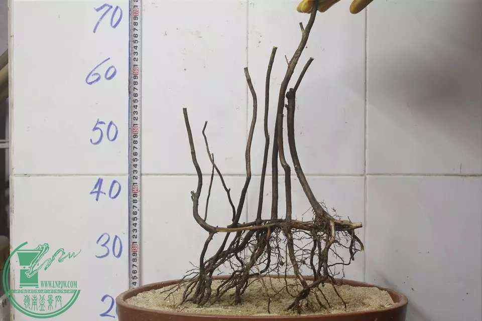 psb (3).jpg