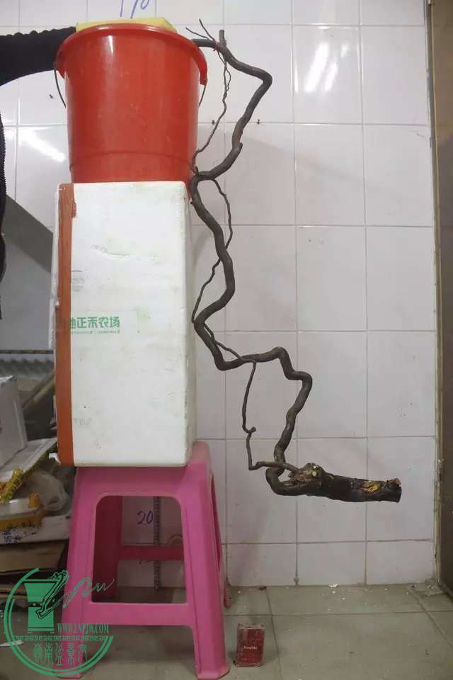 psb (8).jpg