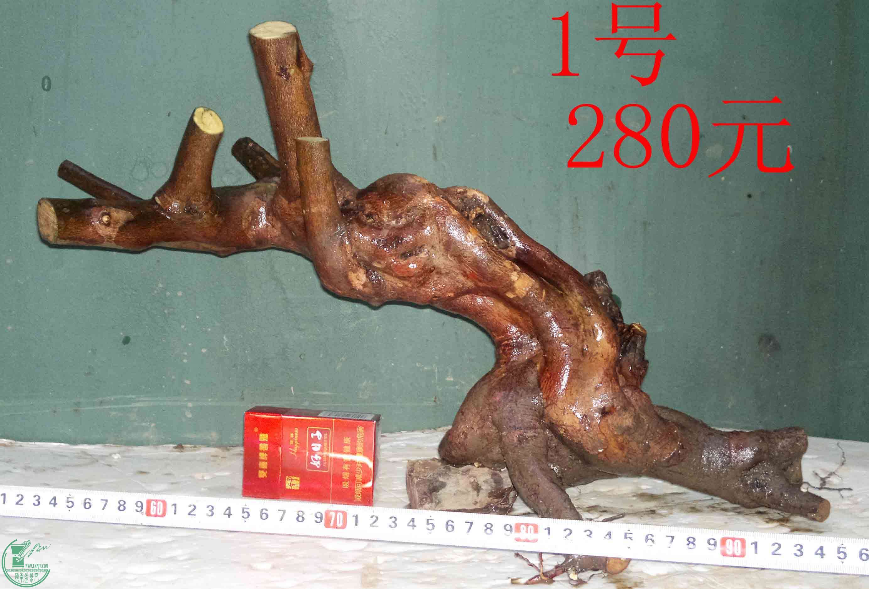 201601127539.jpg