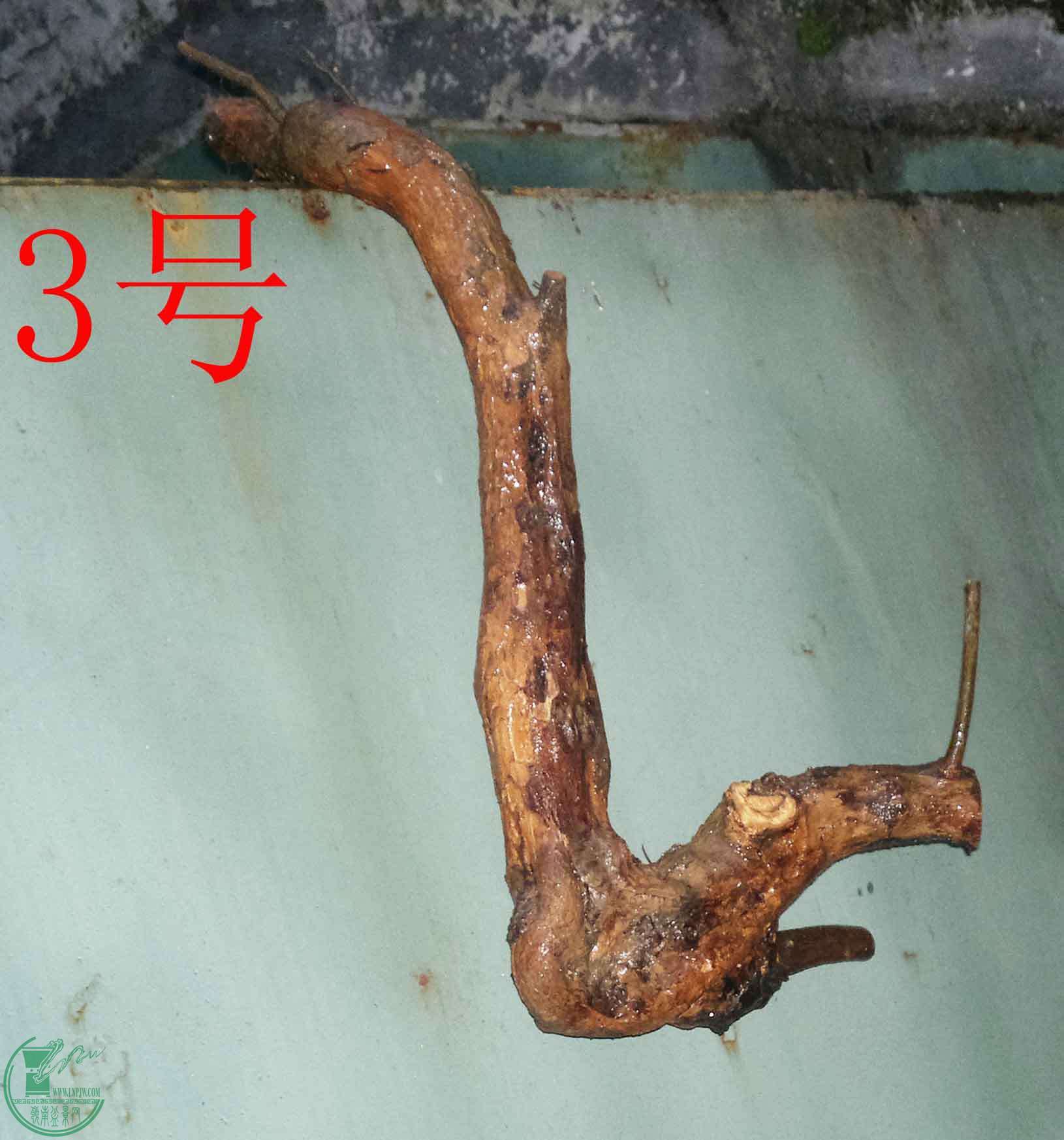 201601127591.jpg