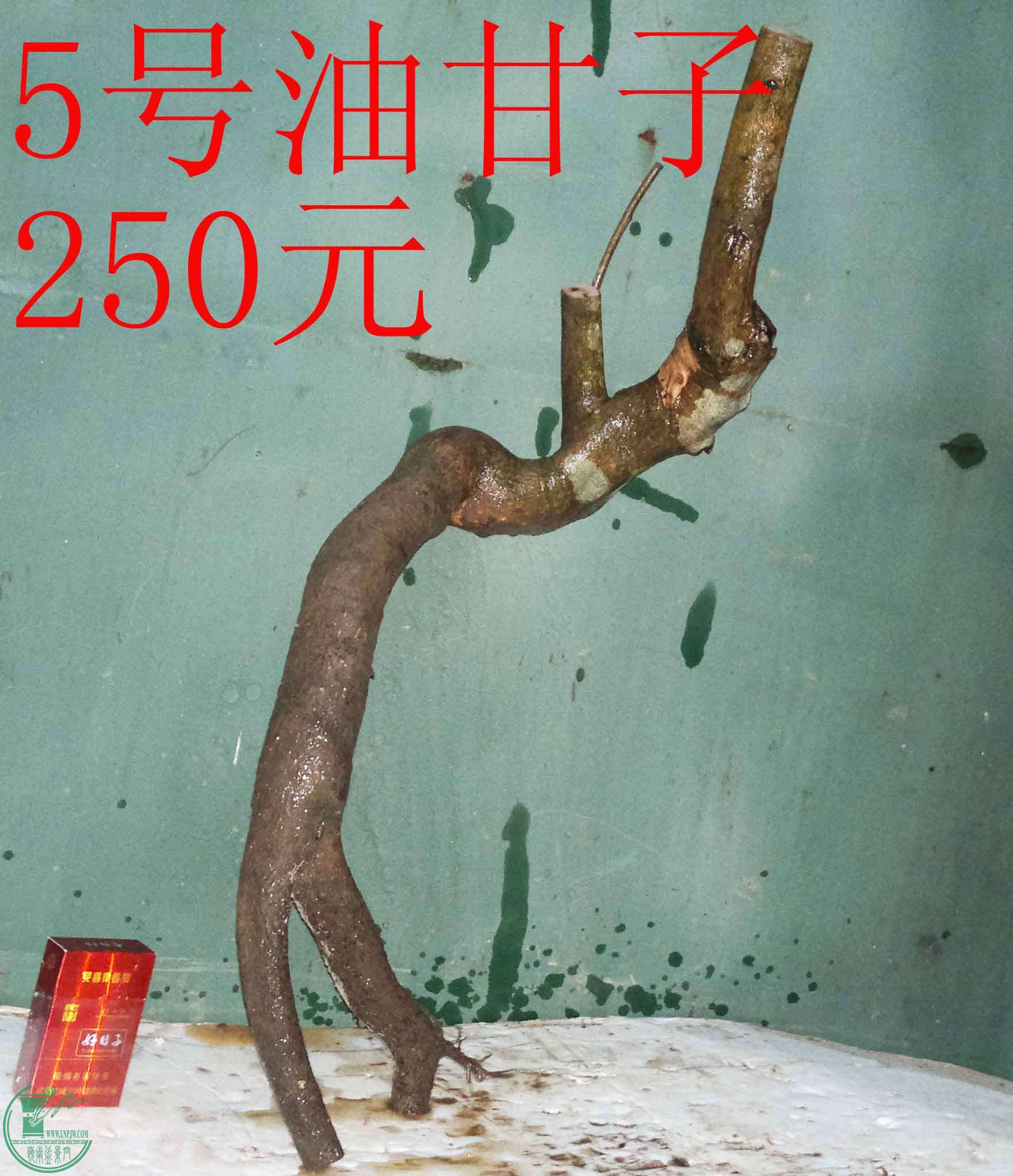 201601127606.jpg