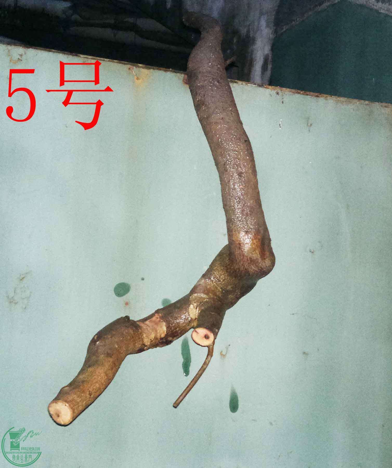 201601127617.jpg