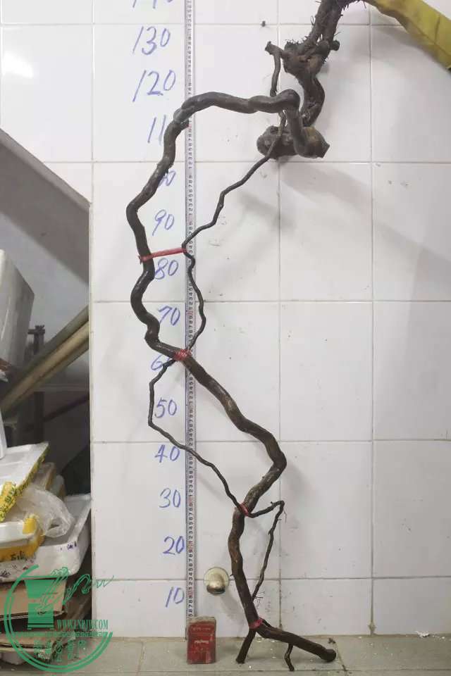 psb (9).jpg