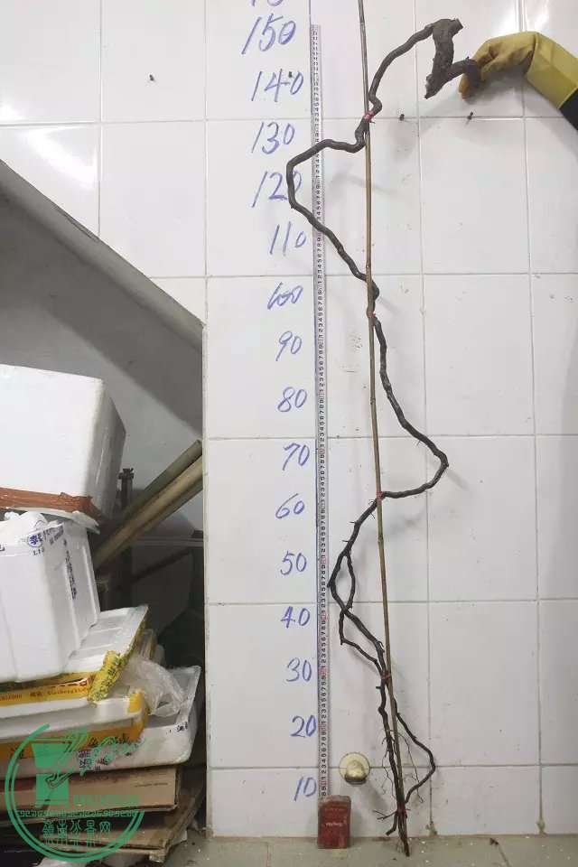 psb (13).jpg