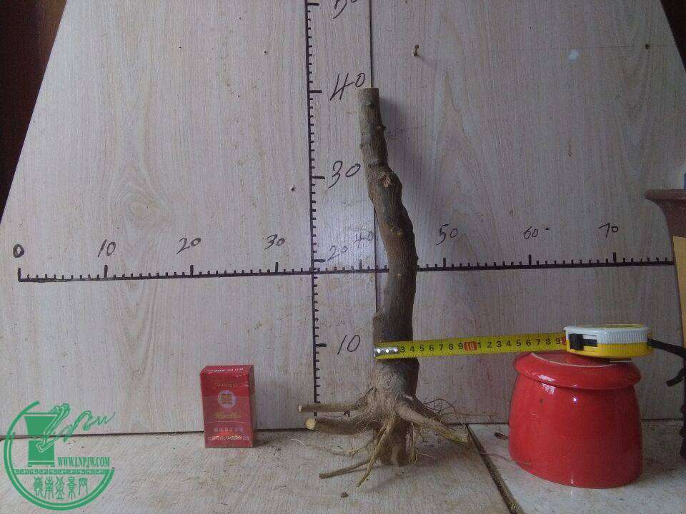 164115hljvqgurbvmembjj.jpg.thumb.jpg
