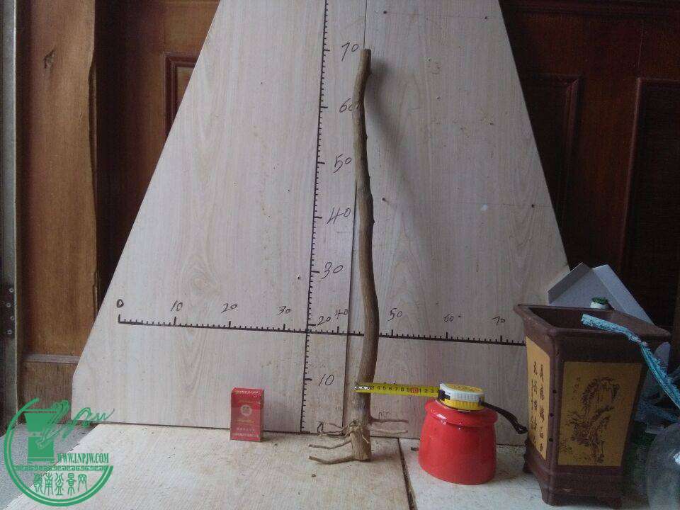 164154nqakw45xmxx3zbag.jpg.thumb.jpg