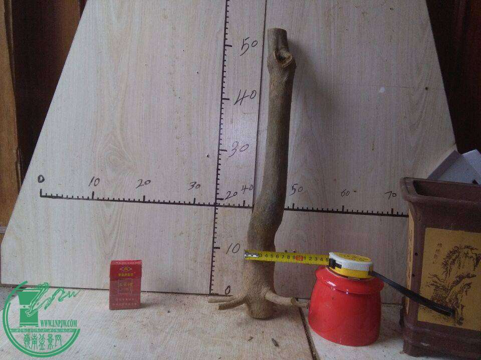 164303p8rioiyqj0fqjqag.jpg.thumb.jpg
