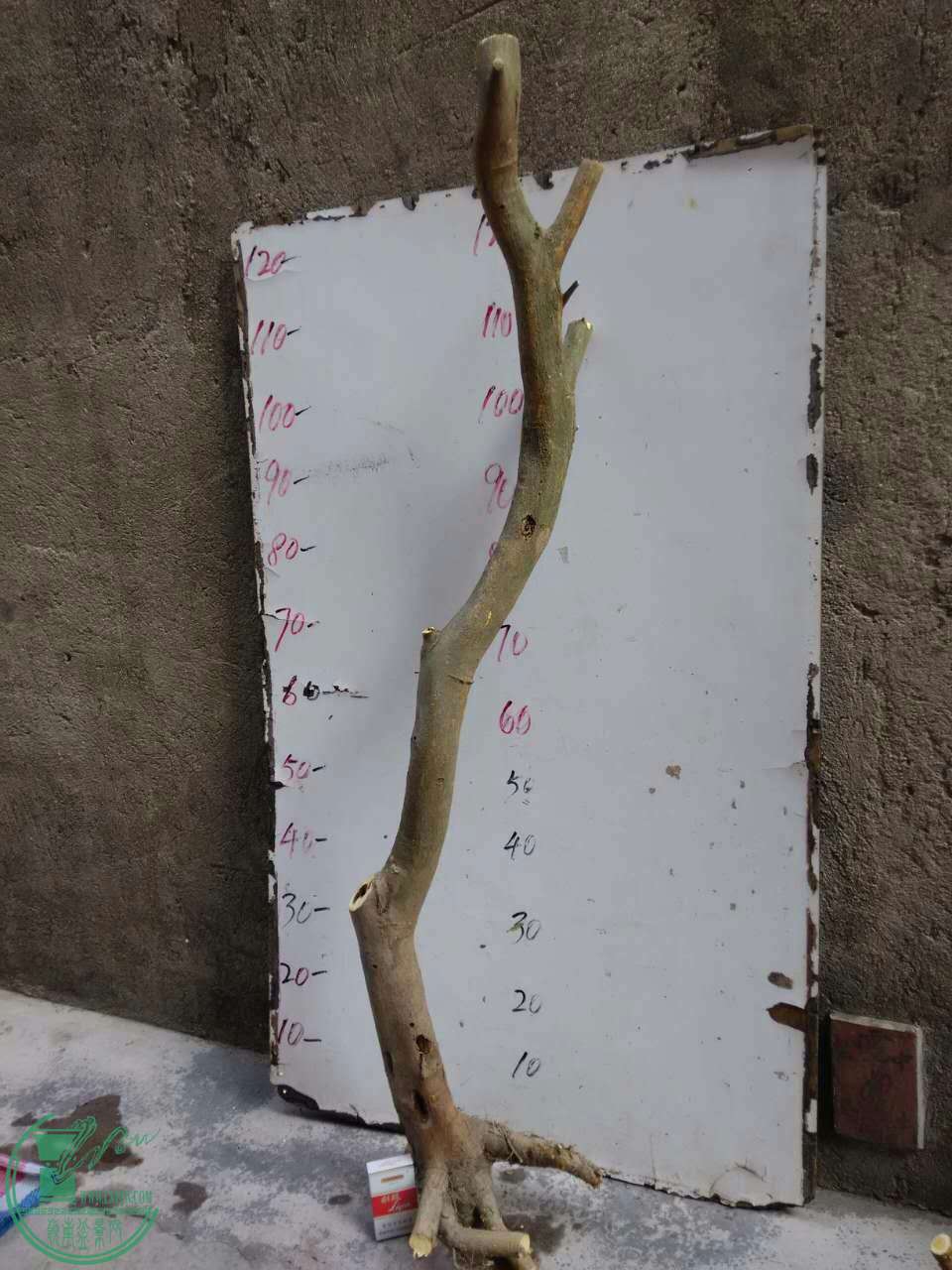 mmexport1452669743230.jpg