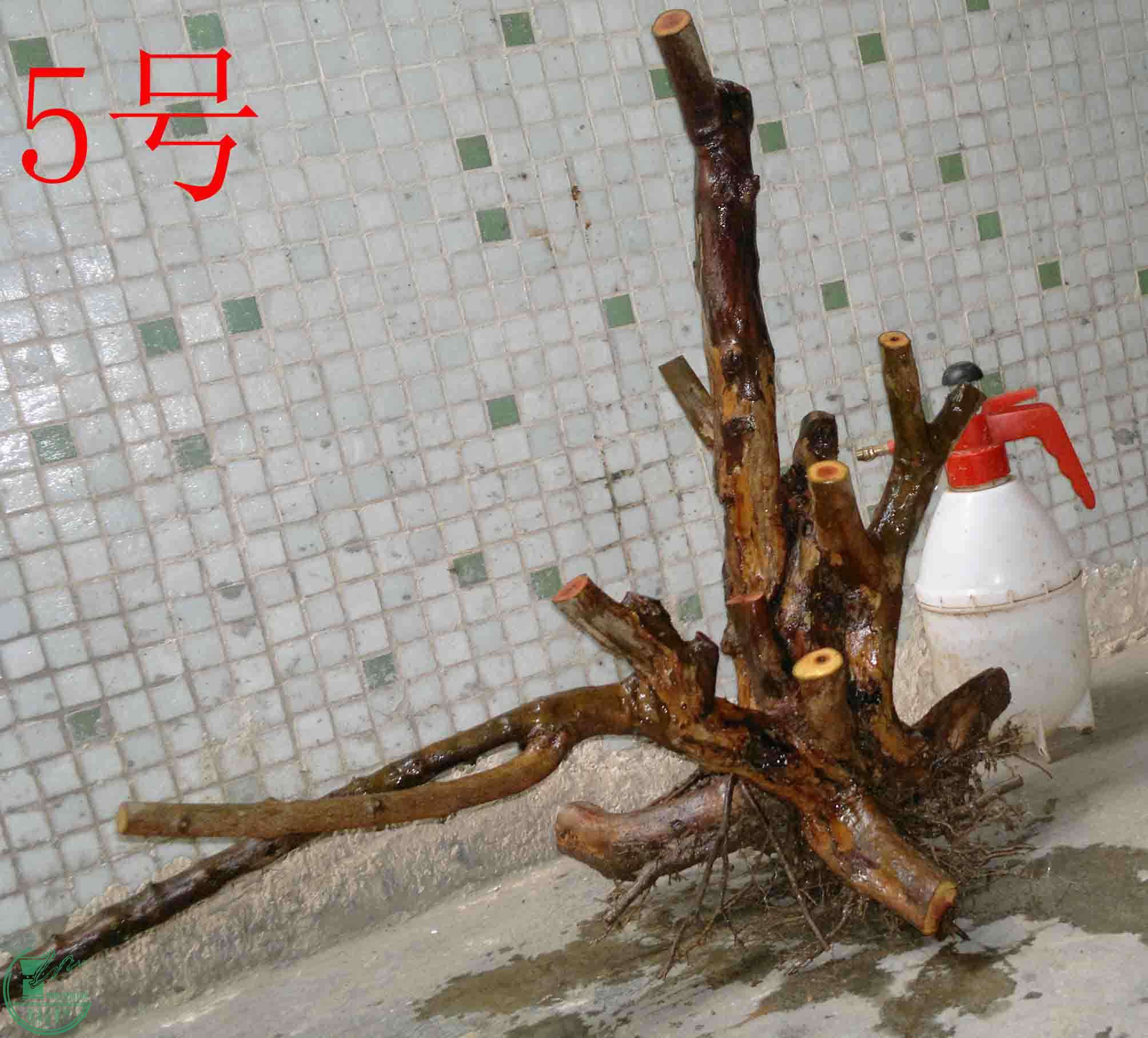 201601137670.jpg