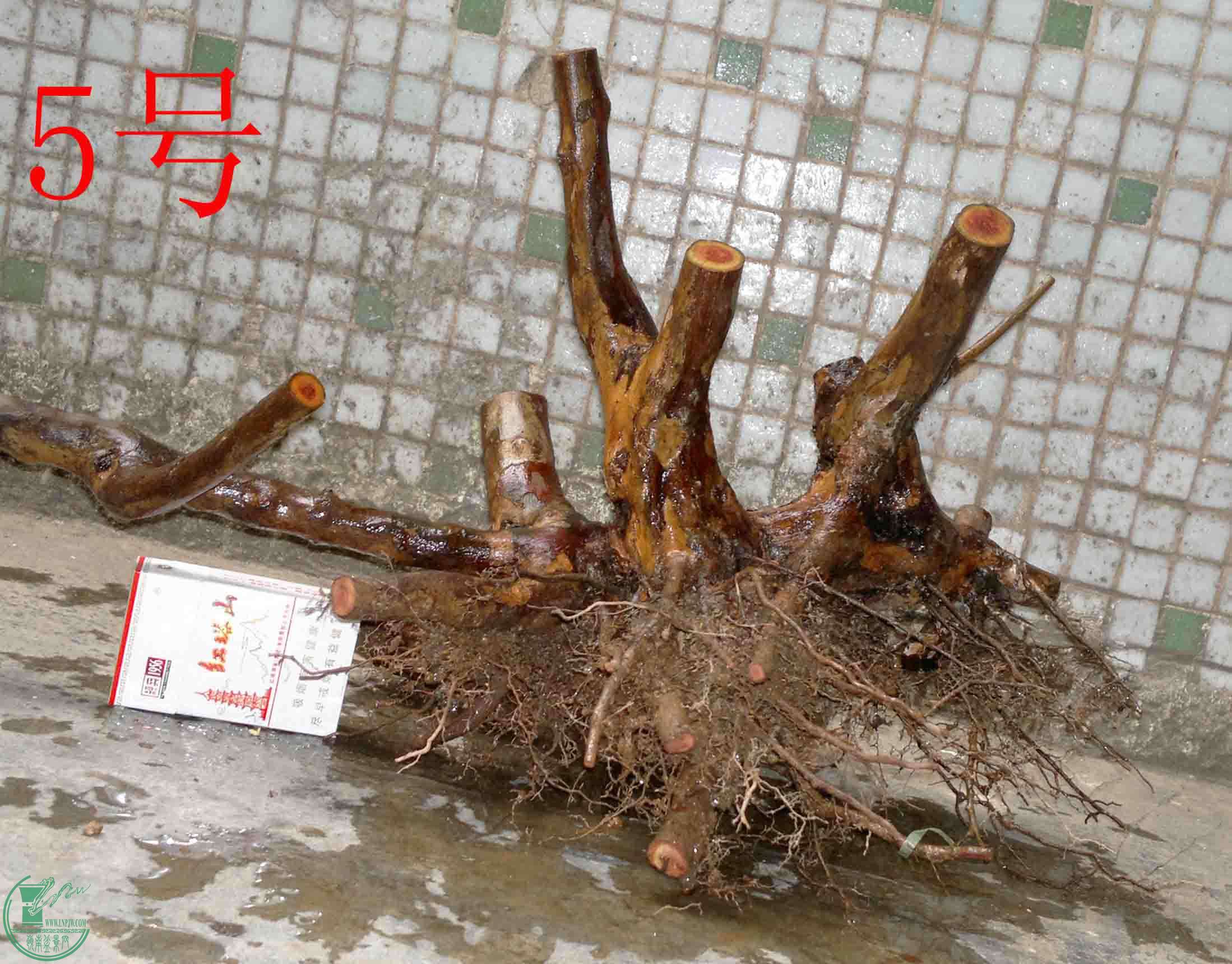 201601137686.jpg