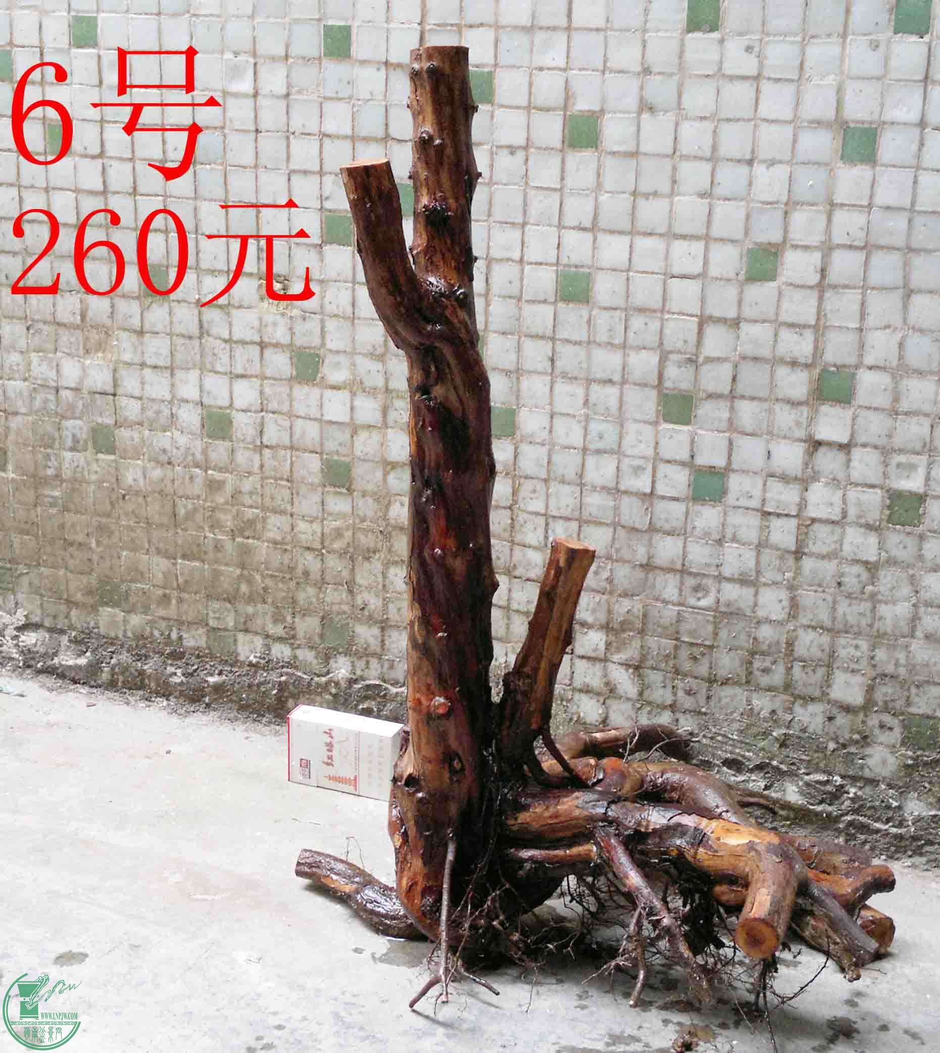 201601137696.jpg