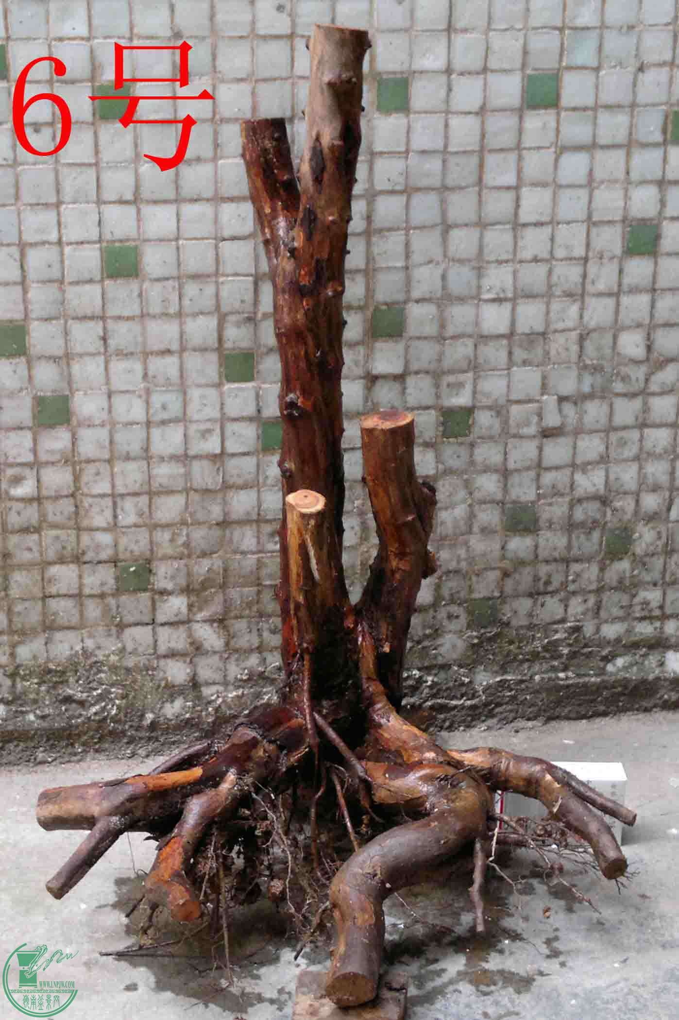 201601137714.jpg