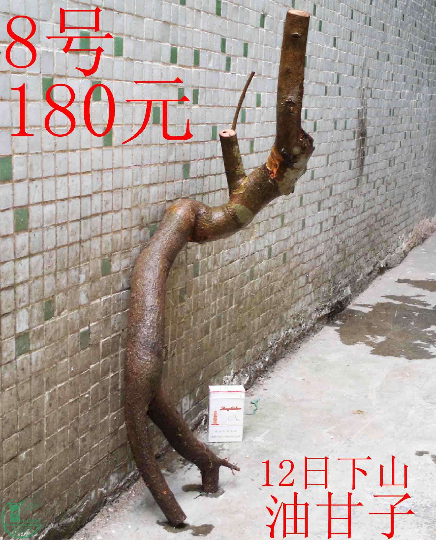201601137735.jpg