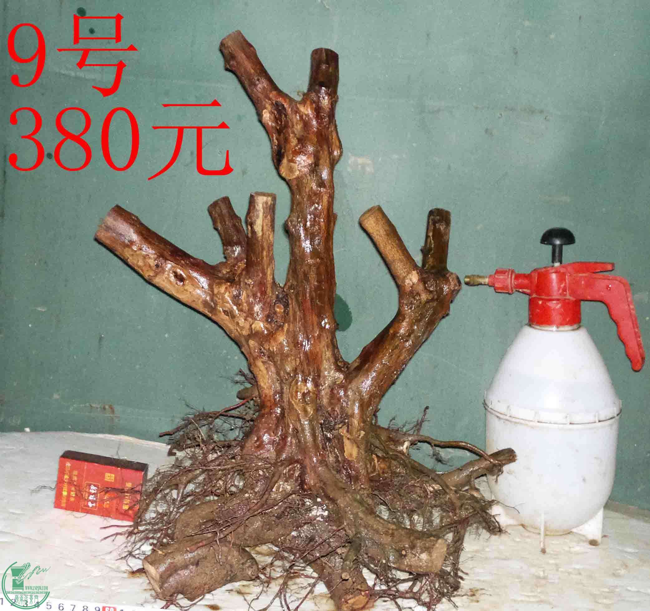 201601137816.jpg