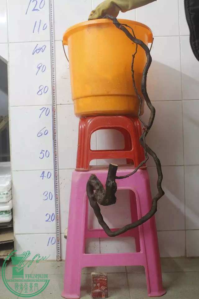 psb (10).jpg