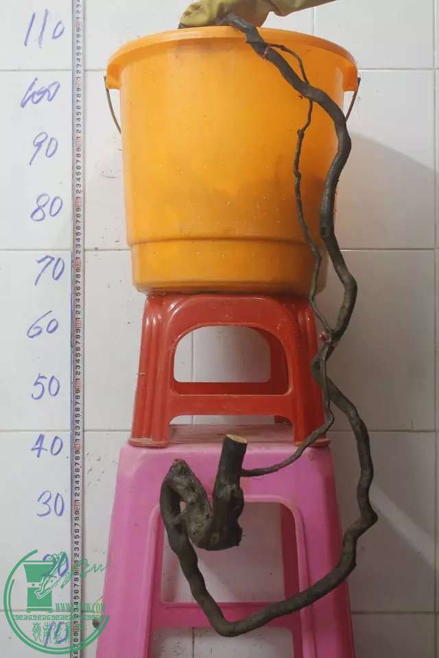 psb (11).jpg