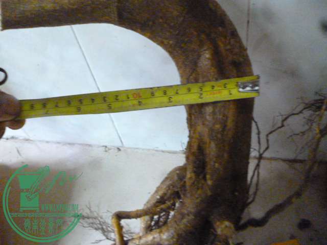 P1160051.JPG