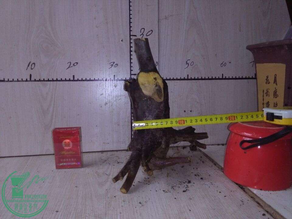 2100Ԫ
