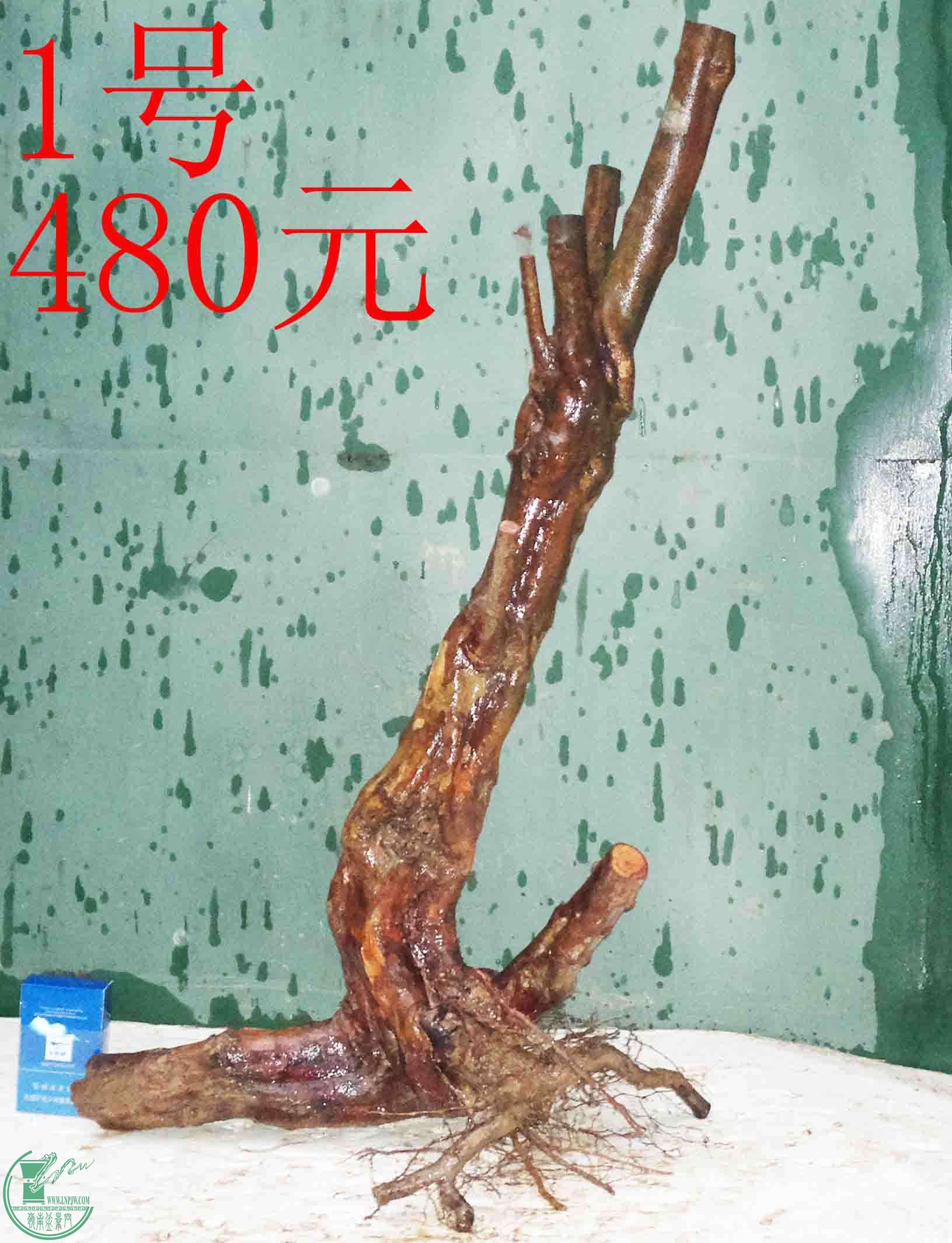 201601147848.jpg