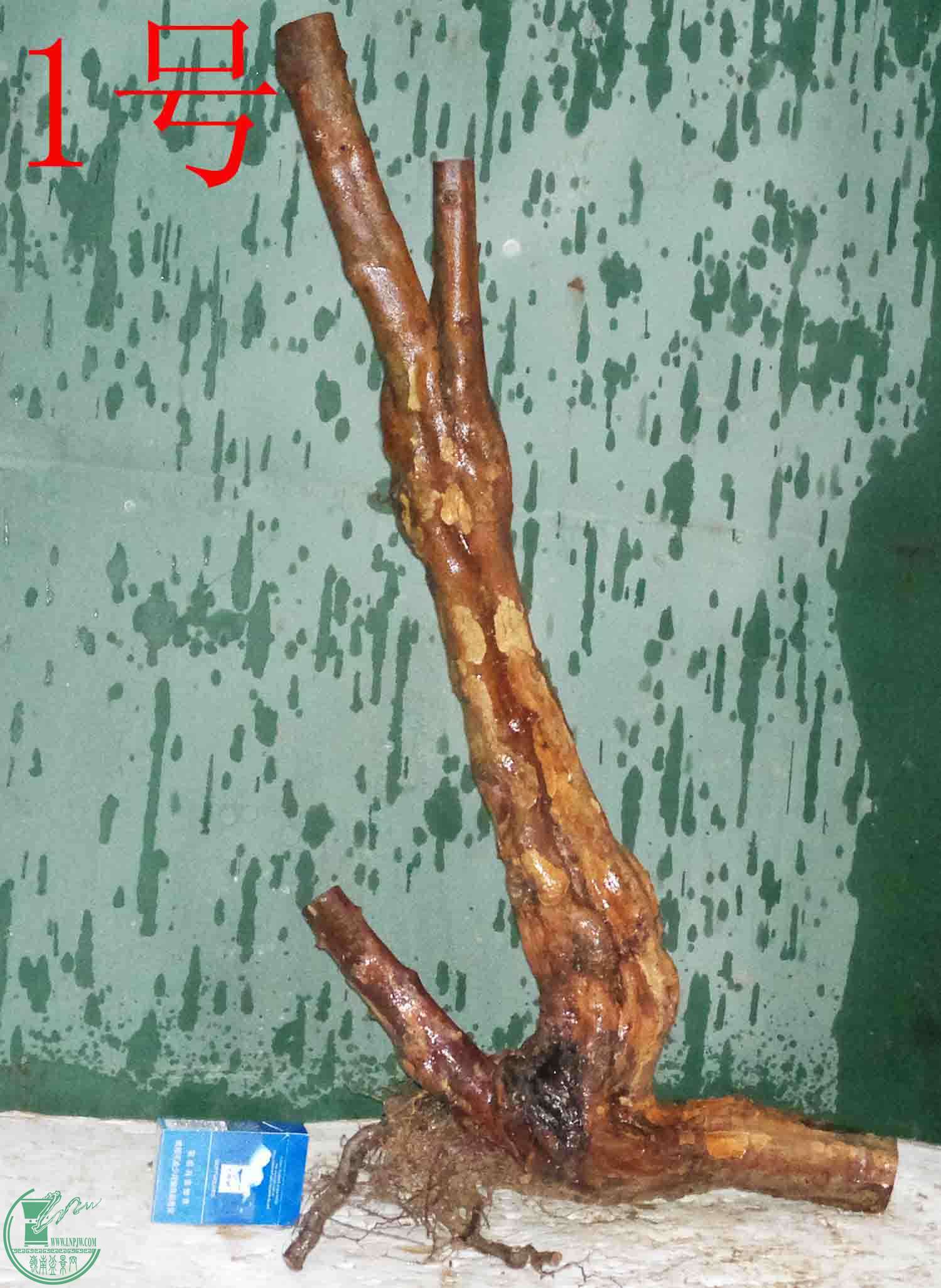 201601147864.jpg