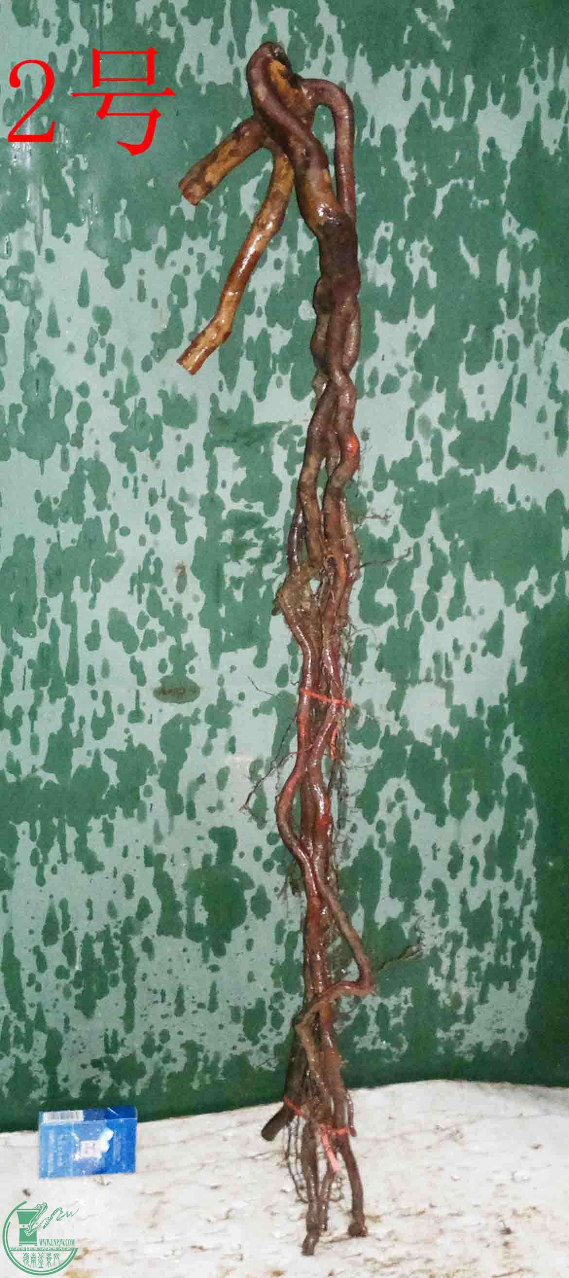 201601147888.jpg