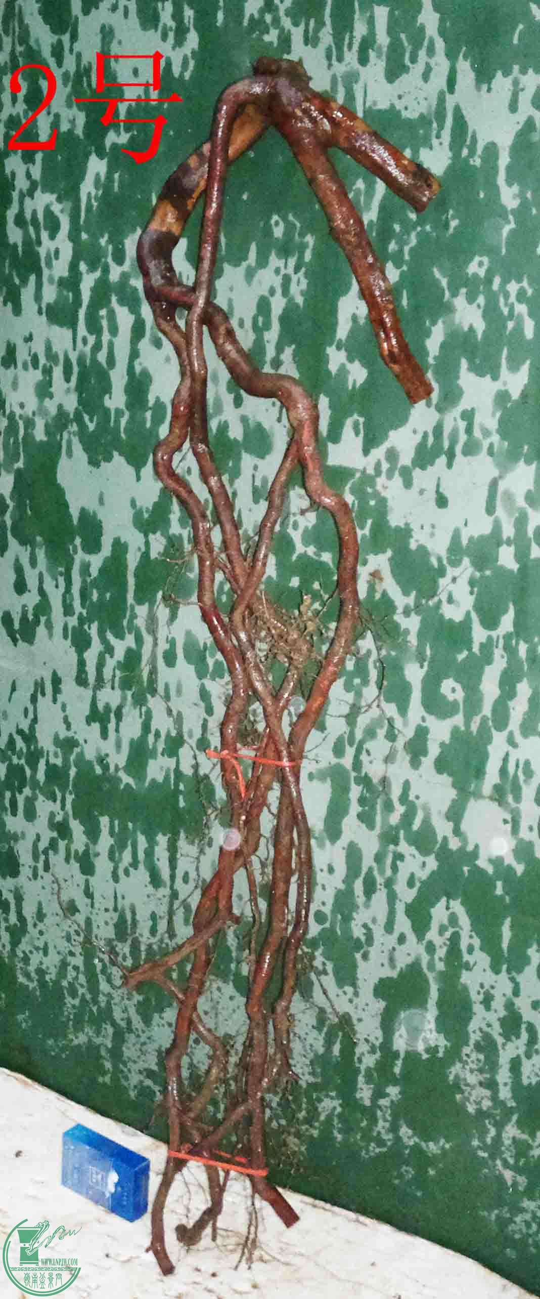 201601147892.jpg