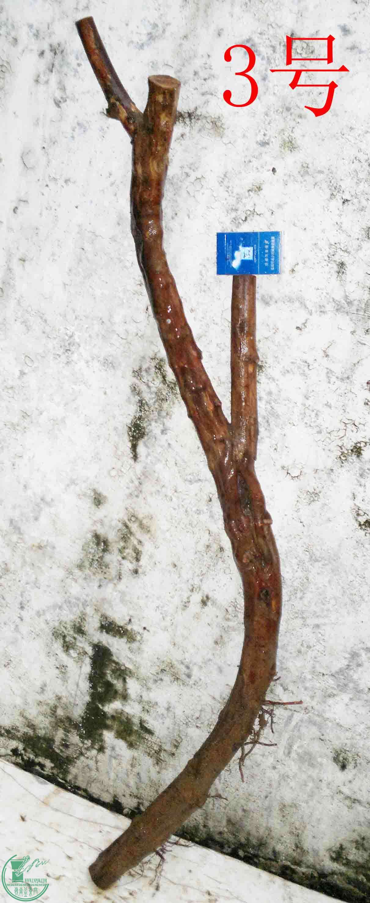 201601147910.jpg