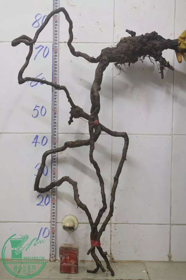 psb (19).jpg