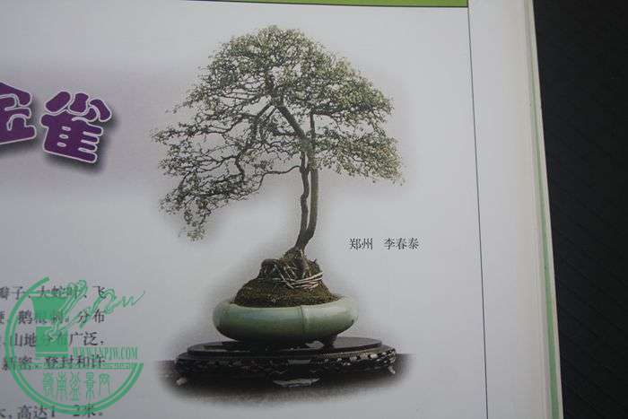 Ƭ20131026ۺ 626.jpg