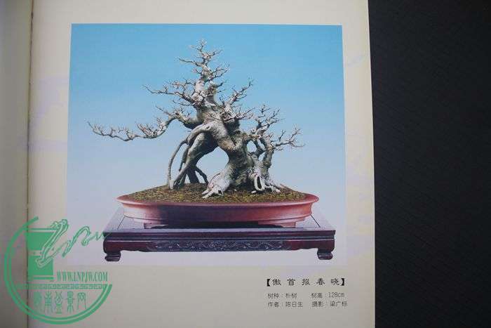 Ƭ20131026ۺ 629.jpg